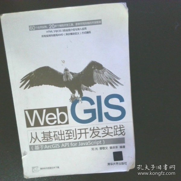 Web GIS从基础到开发实践：基于ArcGIS API for JavaScript