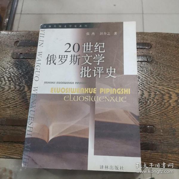 20世纪俄罗斯文学批评史