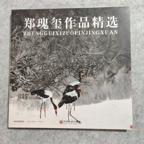 郑瑰玺作品精选 高等美术院校教学范本