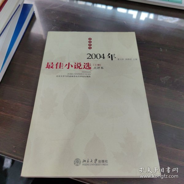 2004年最佳小说选上册