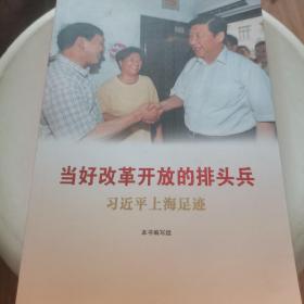 《当好改革开放的排头兵》