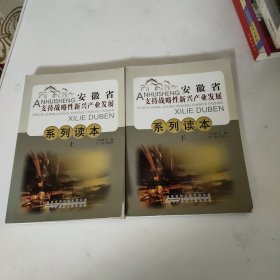 安徽省支持战略性新兴产业发展读本 上下