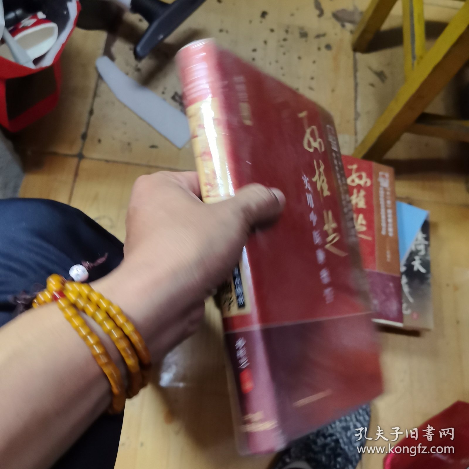 孙桂芝实用中医肿瘤学