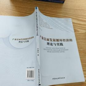 产业层面发展循环经济的理论与实践