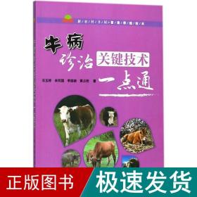 牛病诊治关键技术一点通