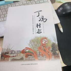 丁冯村志