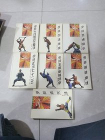 少林实用防身醉拳，少林十八般武艺要诀，少林正宗七十二艺，少林剑法秘传，少林刀术精华，少林擒拿绝技，少林点穴法，