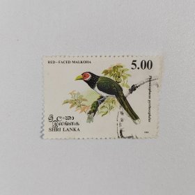外国邮票 斯里兰卡邮票1993年动物鸟类 信销1枚 如图