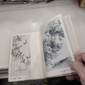 现代花鸟画选（1964年第一版一印）