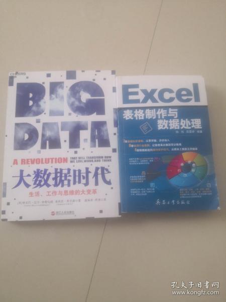 大数据时代     表格制作与数据处理二本书合售