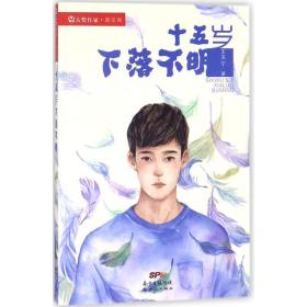 十五岁下落不明 儿童文学 王天宁 新华正版