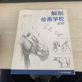 解剖绘画学校：动物