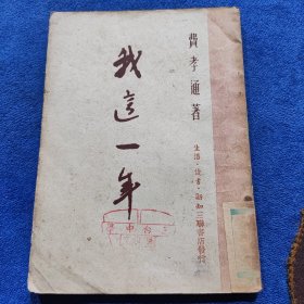 《我这一年》