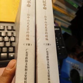 从辛亥革命到国民革命:孙中山文史资料精编(上下2册)