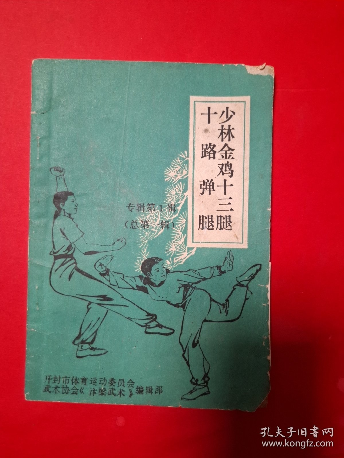 少林金鸡十三腿十路弹腿