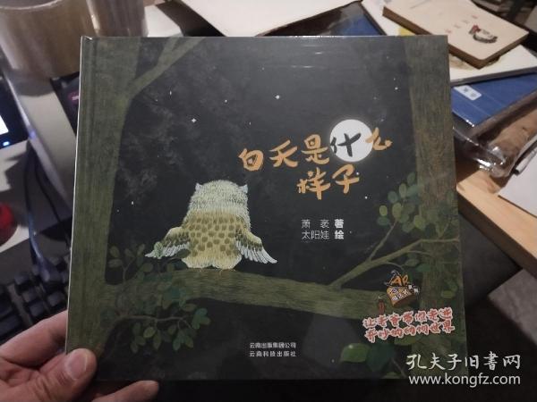 白天是什么样子