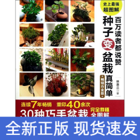 百萬讀者都說贊 種子變盆栽真簡(jiǎn)單