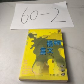 棉棉文集