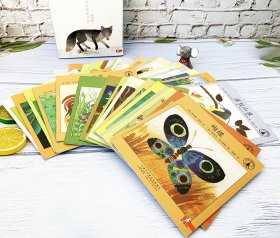 小小自然图书馆