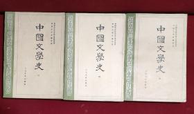 中国文学史(全三册)