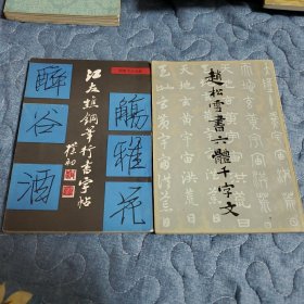 《赵松雪书六体千字文》+《江夫櫵钢笔行书字帖》两册书籍合售。