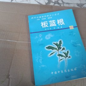 板蓝根——药用动植物种养加工技术