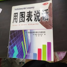 用图表说话：高级经理商务图表指南