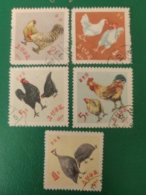 朝鲜邮票 1964年家鸡 5全销