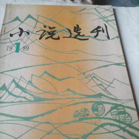 小说选刊(1989.1里面有周大新的作品)