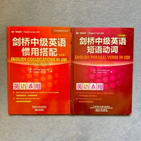 剑桥中级英语惯用搭配(中文版)(剑桥英语在用丛书)