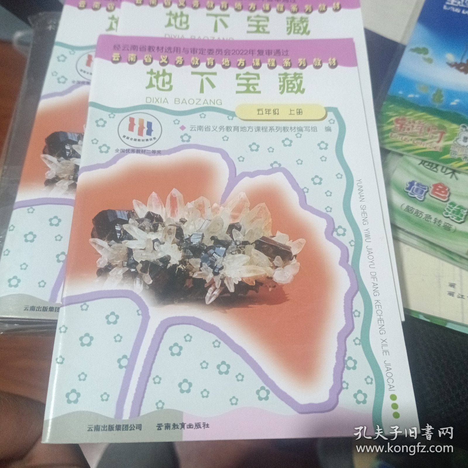 云南省义务教育地方课程系列教材(地下宝藏)