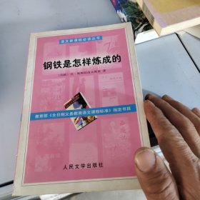 钢铁是怎样炼成的