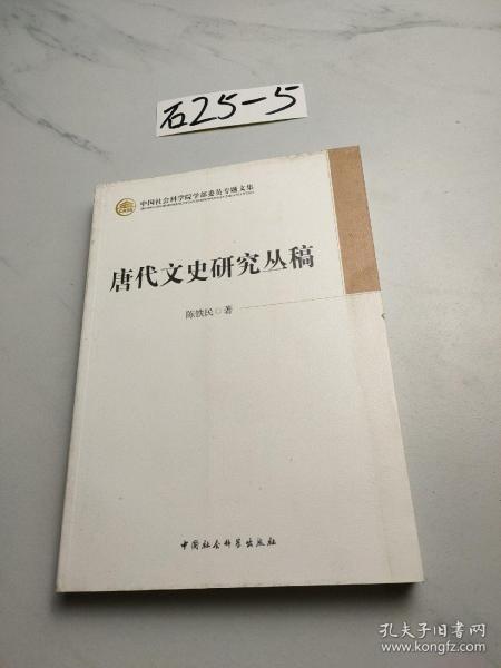 唐代文史研究丛稿