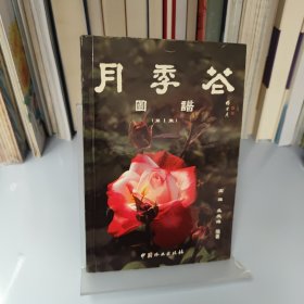 月季花图谱.第1集