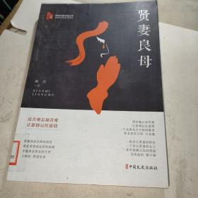 贤妻良母/跨度长篇小说文库（馆藏）