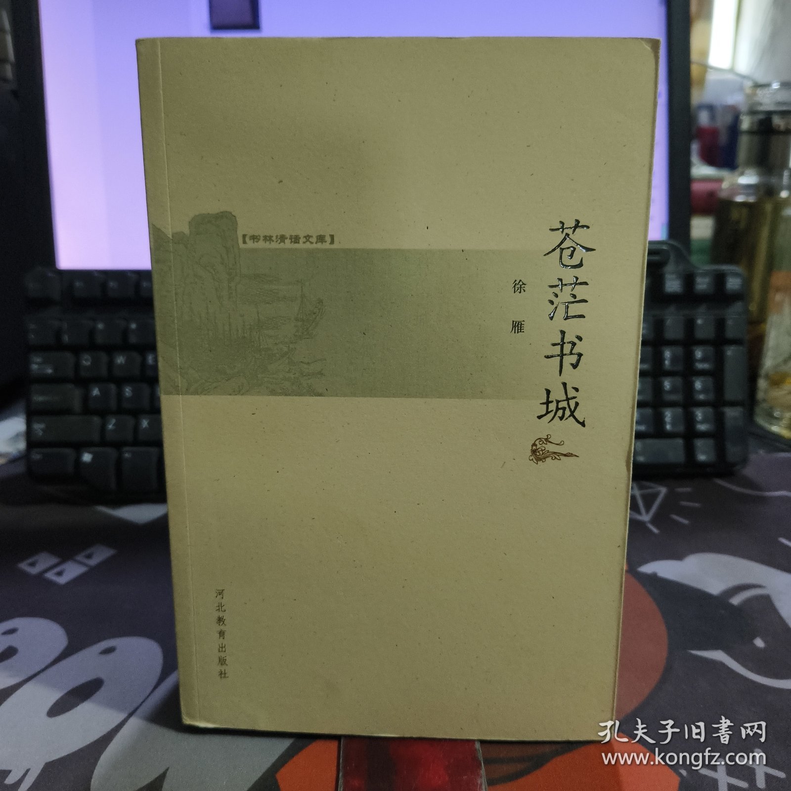 苍茫书城.书林清话（一版一印）