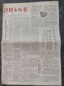 沙坪文化报创刊号