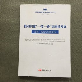 推动共建“一带一路”高质量发展:进展、挑战与对策研究