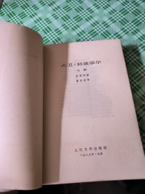 大卫科波菲尔(共两册)