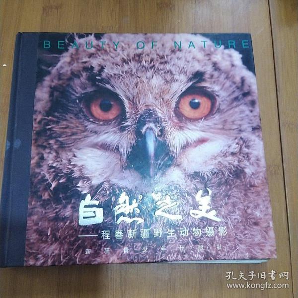 自然之美:程春新疆野生动物摄影:[中英对照]:Cheng Chuns Xinjiang wild life photographs collection