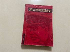 斯大林肃反秘史:全译本