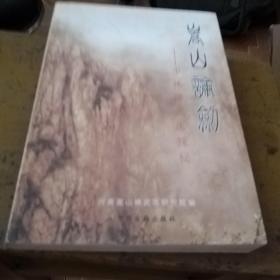 嵩山论剑：少林禅武医探秘