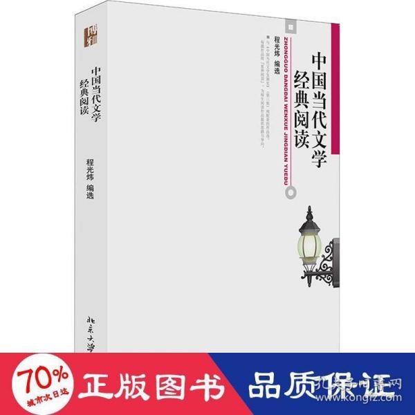 中国当代文学经典阅读