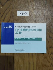 中国临床肿瘤学会（CSCO）非小细胞肺癌诊疗指南2020