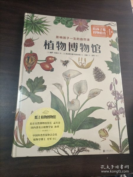 植物博物馆：影响孩子一生的自然课：北京自然博物馆馆长 孟庆金 国内著名古植物学家 孙革联合推荐！