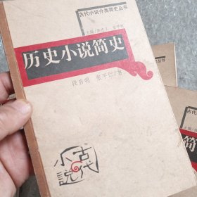 历史小说简史（轻微折痕污渍等随机发货）