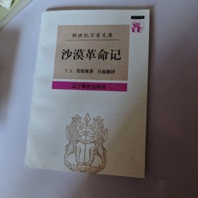 沙漠革命记