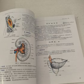 人体解剖学与组织胚胎学（供护理、临床、医学、药学、医学检验、助产等专业用 第3版） 笔记较多，介意者勿拍。，