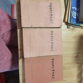 中国当代文学作品选（上中下）