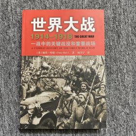 世界大战1914-1918：一战中的关键战役和重要战场（内页干净）